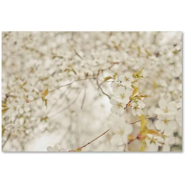 Trademark Fine Art 'White Cherry Blossoms' Canvas Art by Ariane Moshayedi - Walmart.com | Walmart (US)