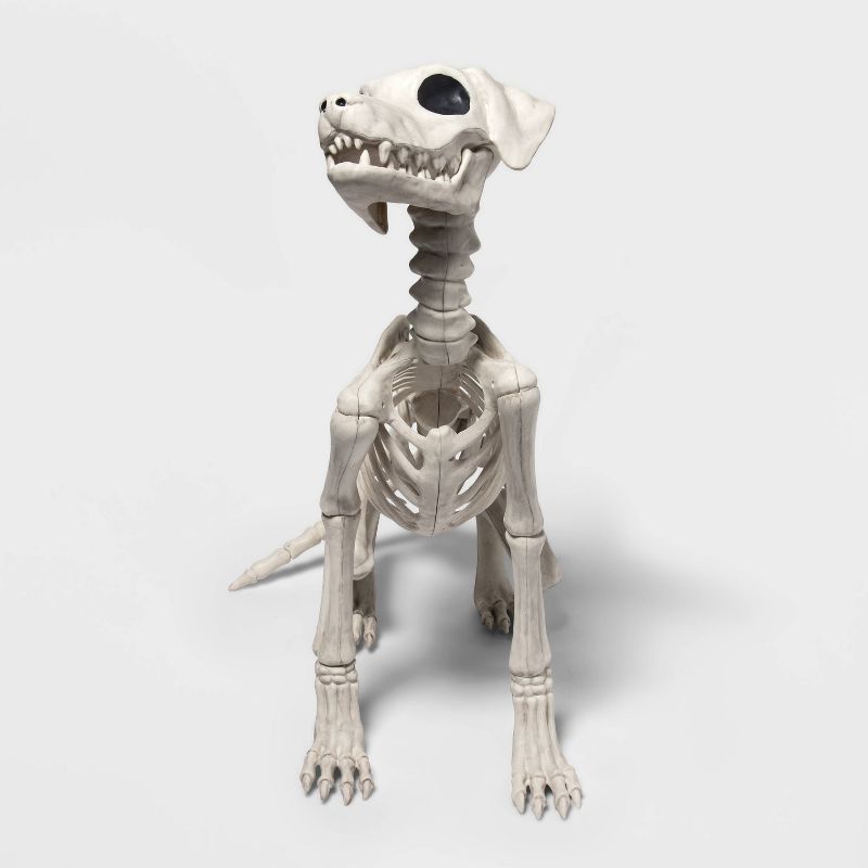 Sitting Dog Skeleton Halloween Decorative Prop - Hyde & EEK! Boutique™ | Target