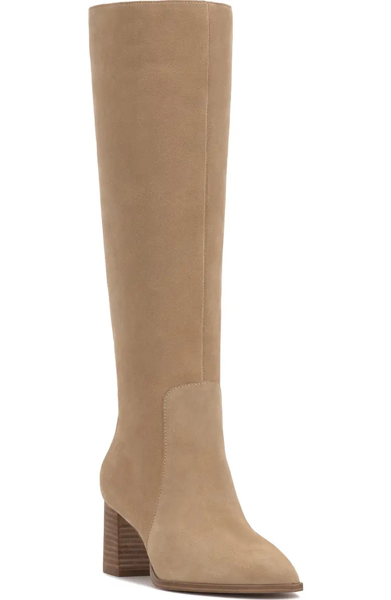 Lumina Pointed Toe Boot (Women) | Nordstrom