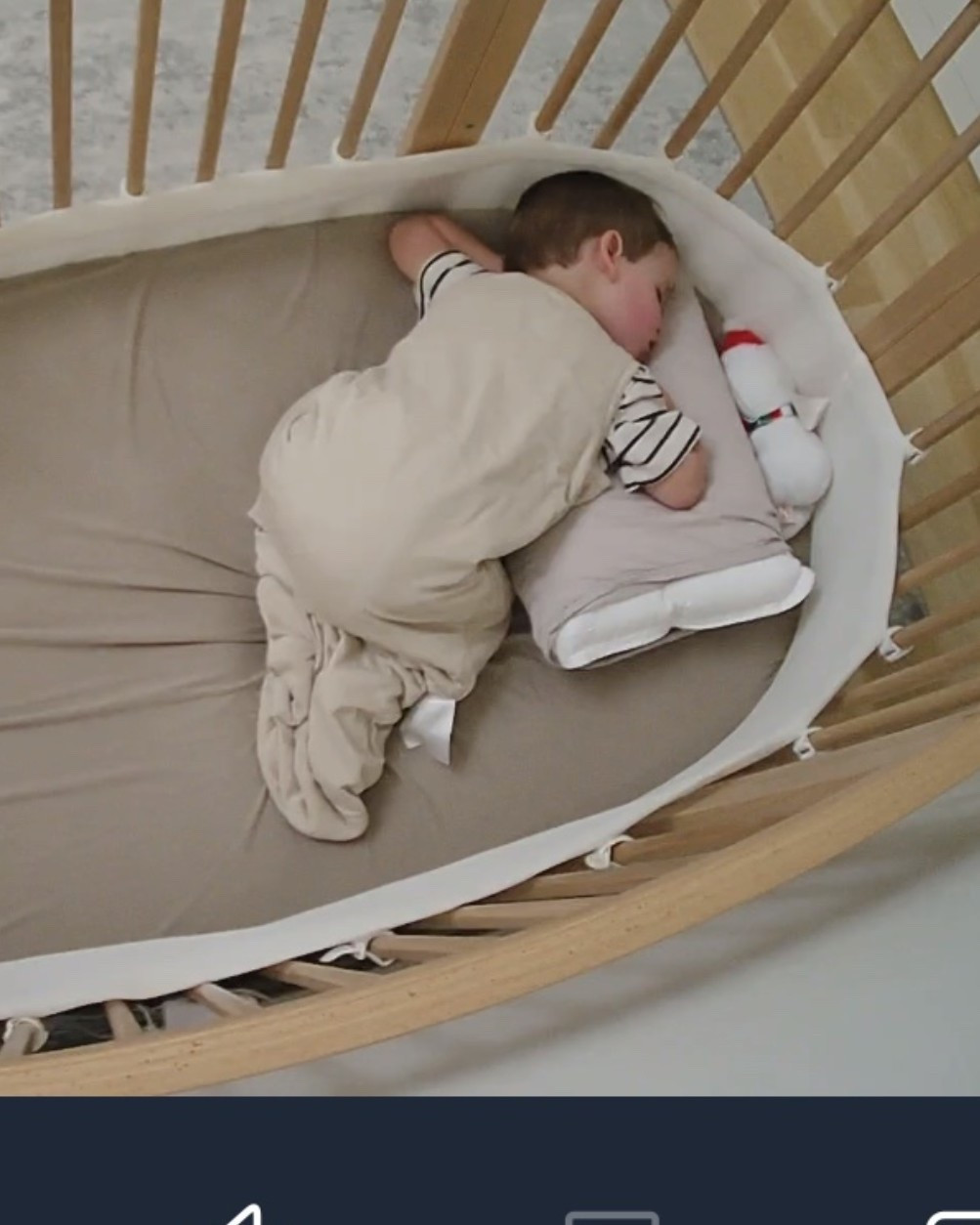 Toddler pillow and bed


#LTKBaby #LTKKids #LTKHome