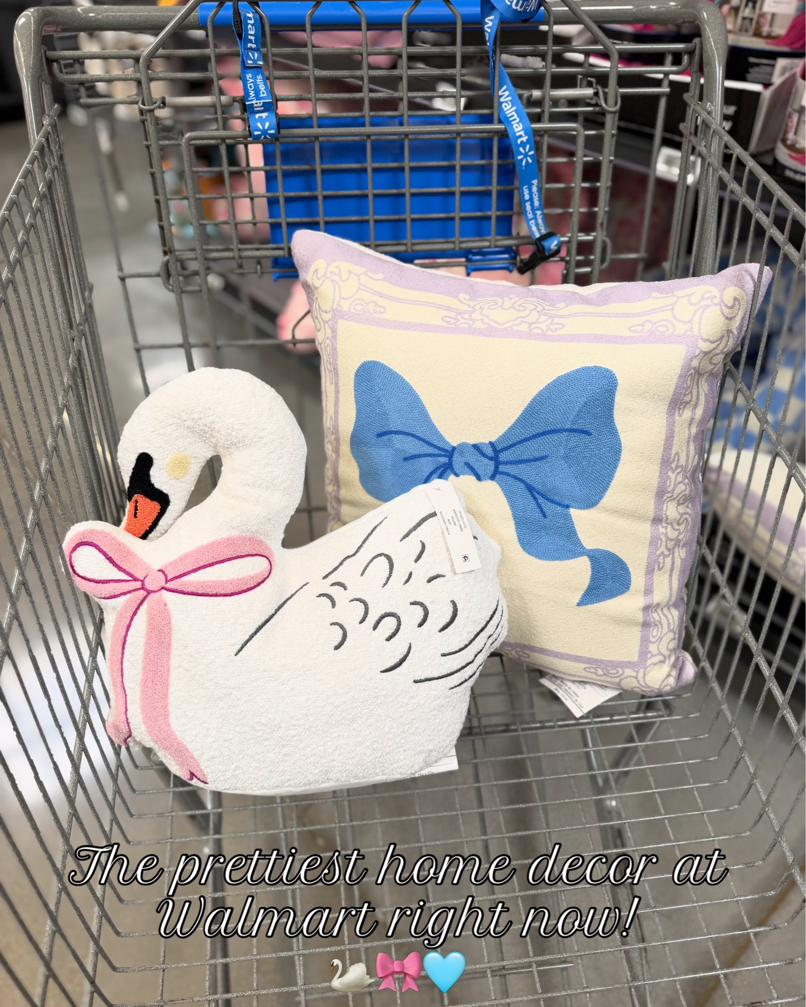 My two favorite colors🩷🩵 girly & cute home decor at Walmart 🌸 type DECOR to shop these & more 🔗✨

(Linking everything here )

#prettyhomedecor #walmartfind #cutehomedecor #prettydecor

#LTKSeasonal #LTKHome #LTKmomlife