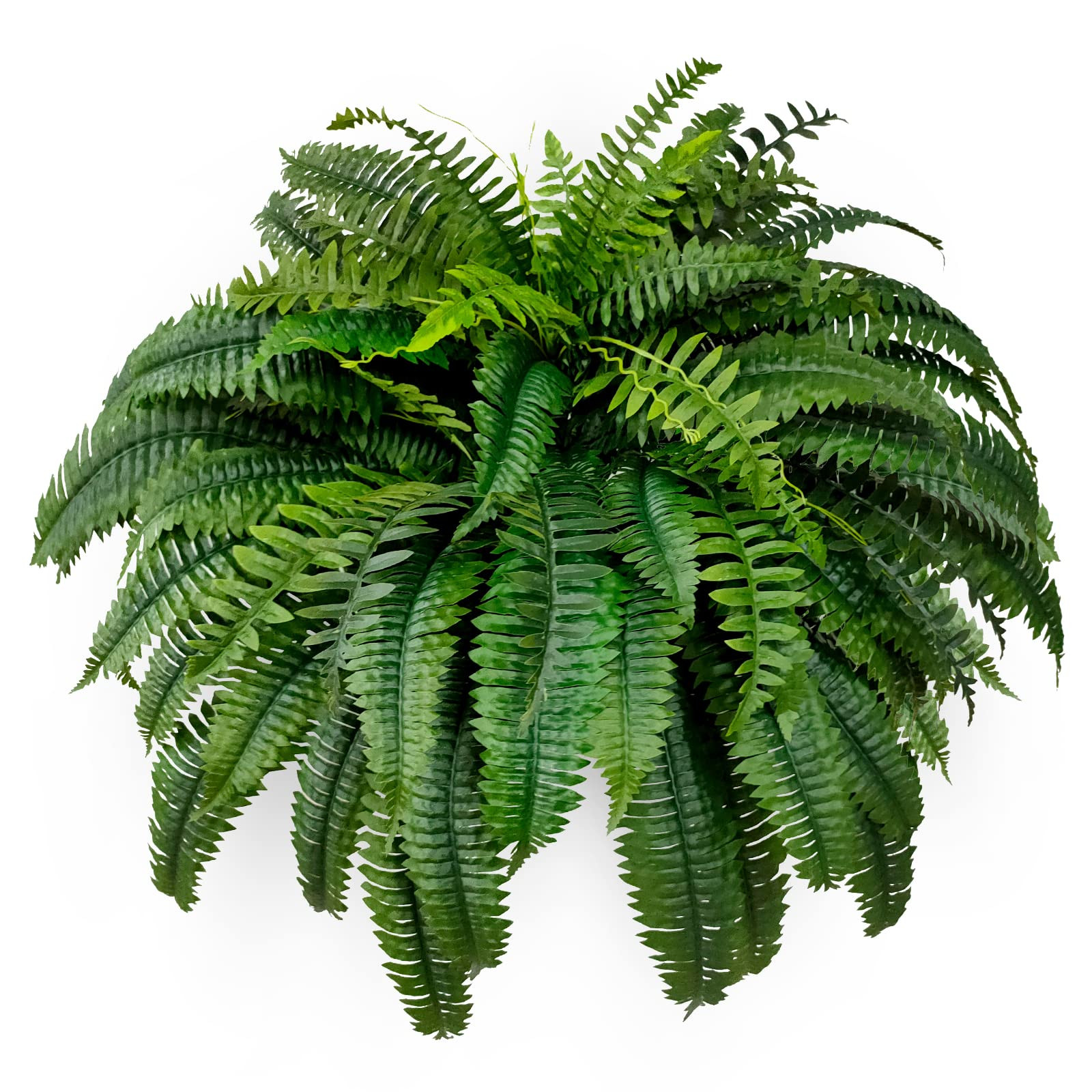 Single Silky Artificial Boston Fern Bush, 48Inch Artificial Plants, Suitable for Decorating Offic... | Amazon (US)