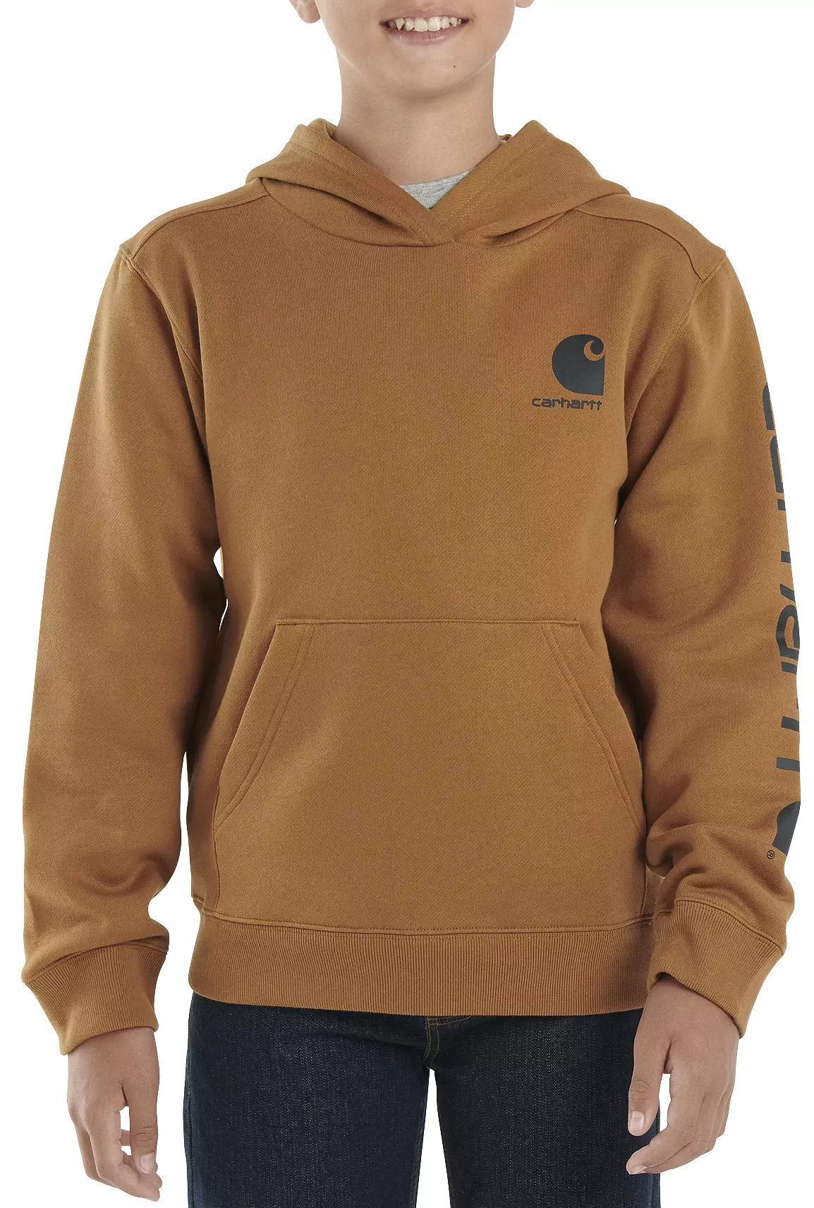 Carhartt Boys' Graphic Hoodie | DICK'S Sporting Goods
