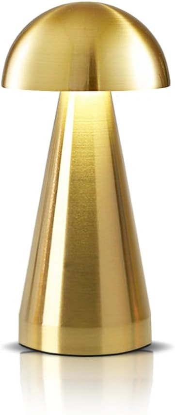 HPUFKOT Portable Metal Desk Lamp,3-Color Touch Control, Rechargeable Battery - Ideal Bedside Lamp... | Amazon (US)