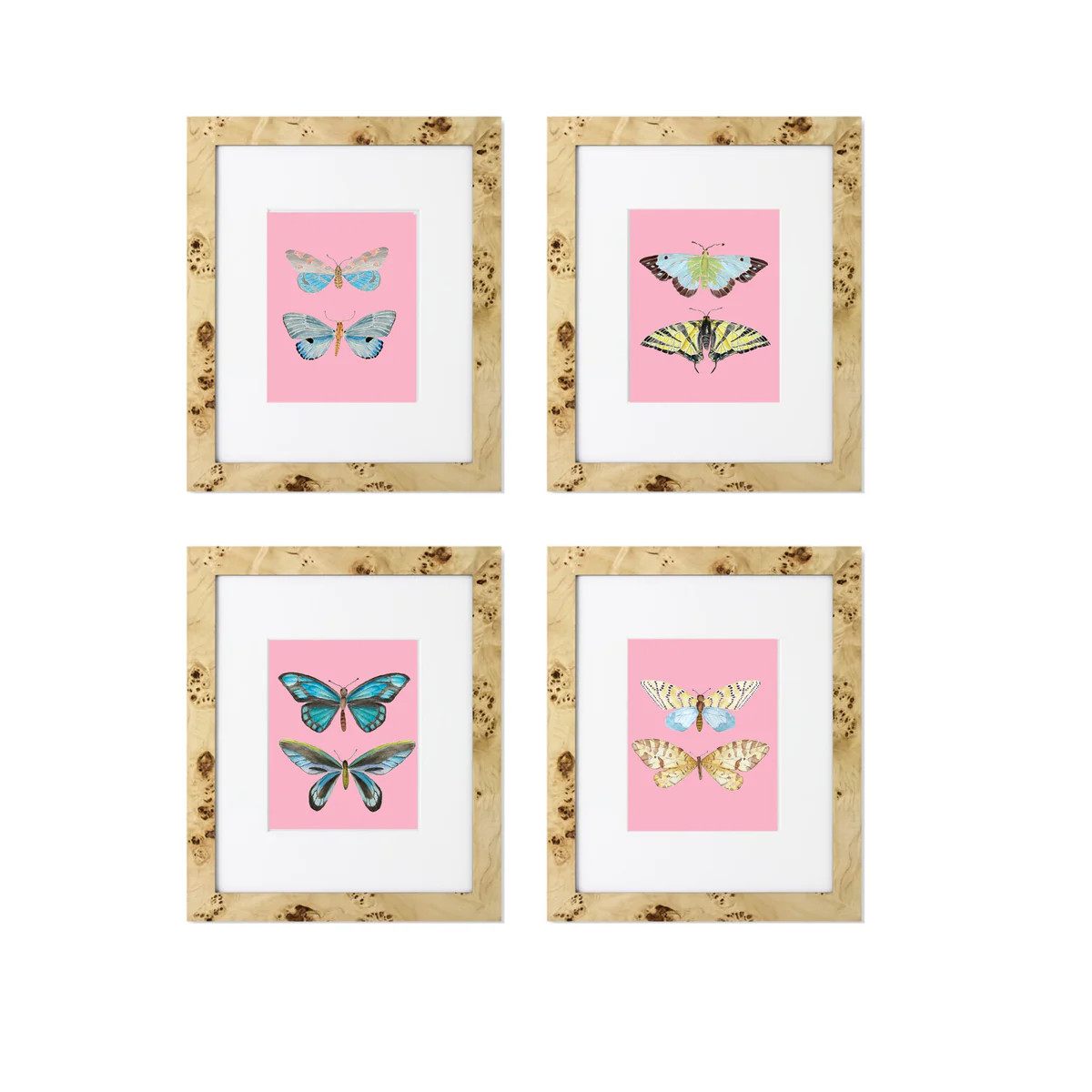 Gallery of Four Butterfly Pairs Wall Art Print | Multiple Colors | Pin | Sweet Pea and Whimsy