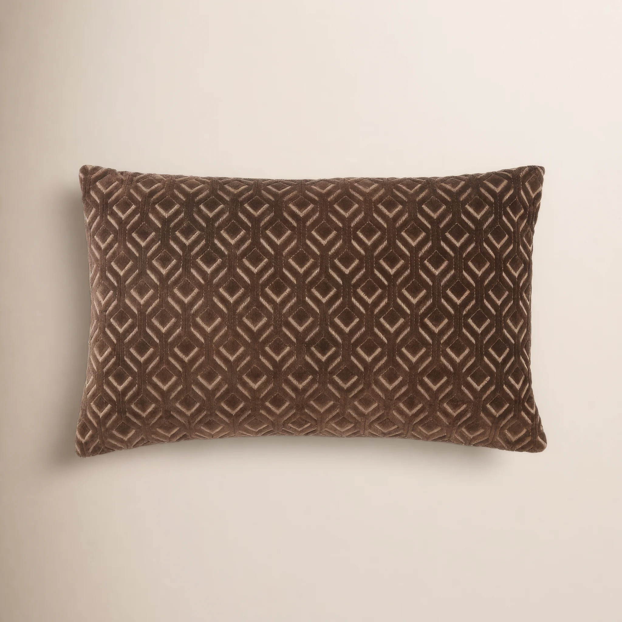 Ryans Velvet Lumbar Rectangular Pillow | Wayfair North America