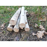 Sale 5 Birch Logs Wood Sticks. Tree. Decor For Fireplace.craft Birch.white Birch Logs. Decoration Bi | Etsy (US)