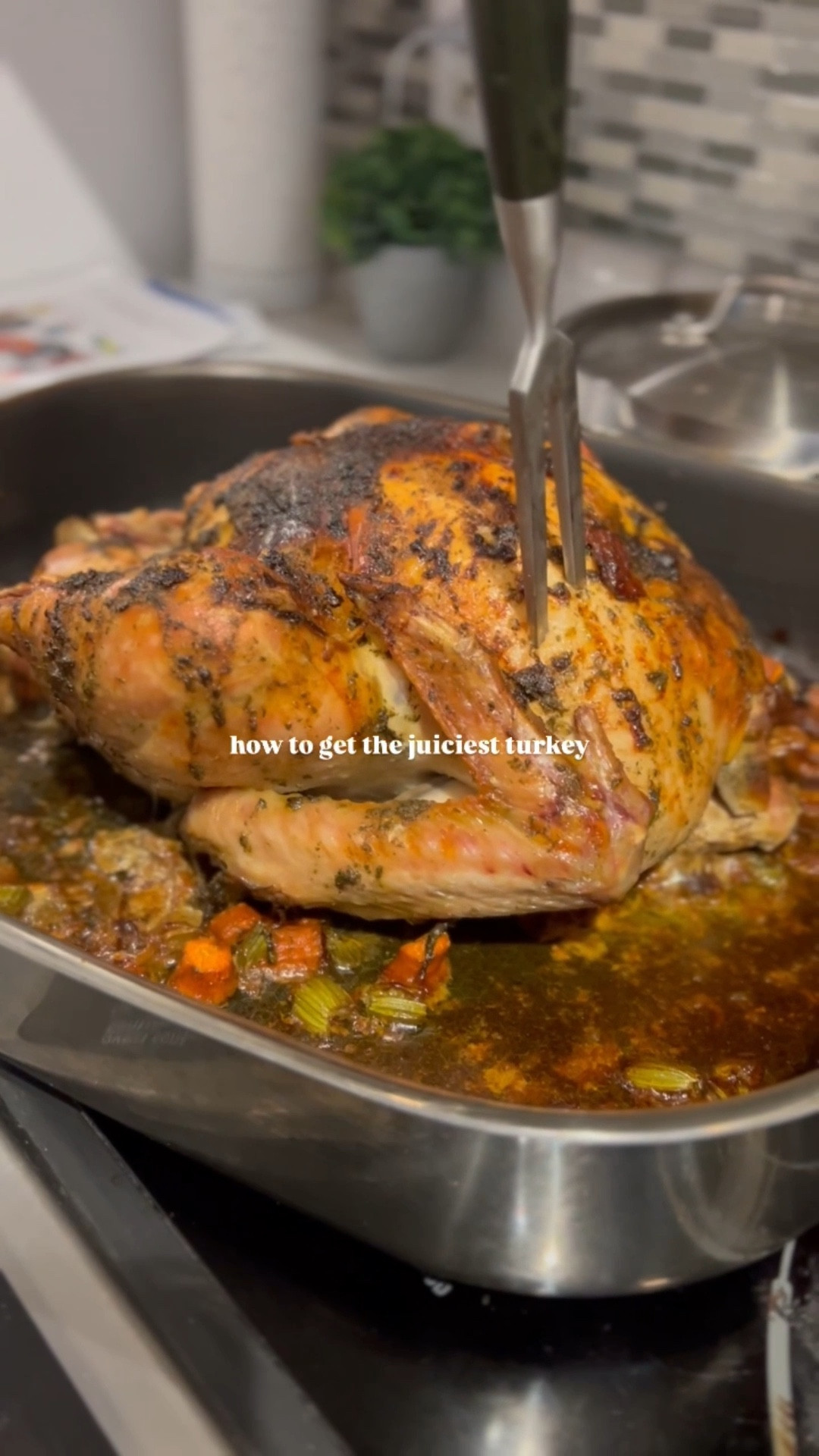 An oven roasted turkey done right with mouthwatering juices and a crisp and flavourful outer skin. How I make our Thanksgiving turkey & all the best cooking tips are on the blog. Just search “TURKEY DINNER” on northsouthblonde.com

#turkey #thanksgiving #explorepage #thanksgivingdinner #thanksgivingrecipes #ovenroasted #foodreels #foodie #recipes #cooking #dinner #dinnerideas #turkeyday #turkeyseason #turkeyrecipes #cookingreels #turkeydinner

#LTKSeasonal #LTKHome