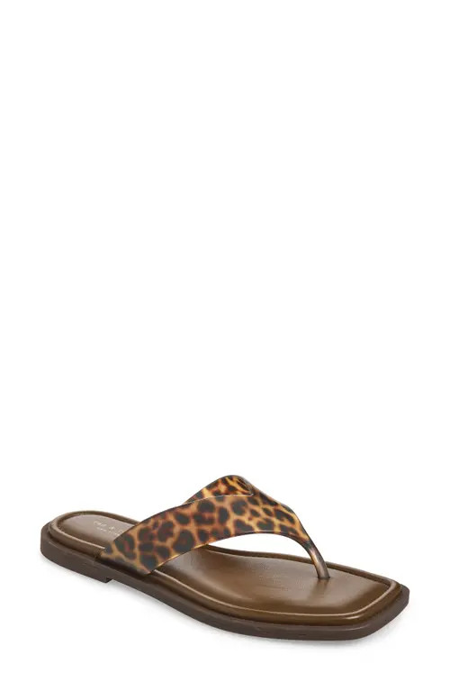 rag & bone Gracie Jelly Flip Flop in Tortoise at Nordstrom, Size 41 | Nordstrom