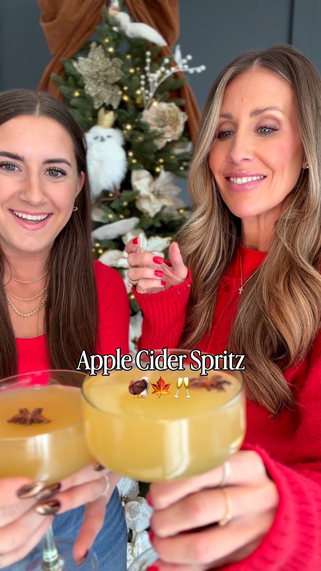 Save this to make after your turkey trot! 🦃🍁🍂👇🏻👇🏻👇🏻 
.
Thanksgiving - Apple Cider Spritz
6oz Apple Cider
4oz Prosecco
2oz Vodka
1/4 tsp vanilla extract
0.5oz lemon juice 

combine all the ingredients in a shaker bottle except for the Prosecco. Poor about a quarter of the amount in the shaker bottle into your glass and then top off with the Prosecco you can garnish with a star anice and cinnamon stick.🥂 CHEERS

#LTKGiftGuide #LTKCyberWeek #LTKHoliday