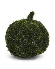 18in Boxwood Middle Pumpkin | Plants & Planters | Marshalls | Marshalls