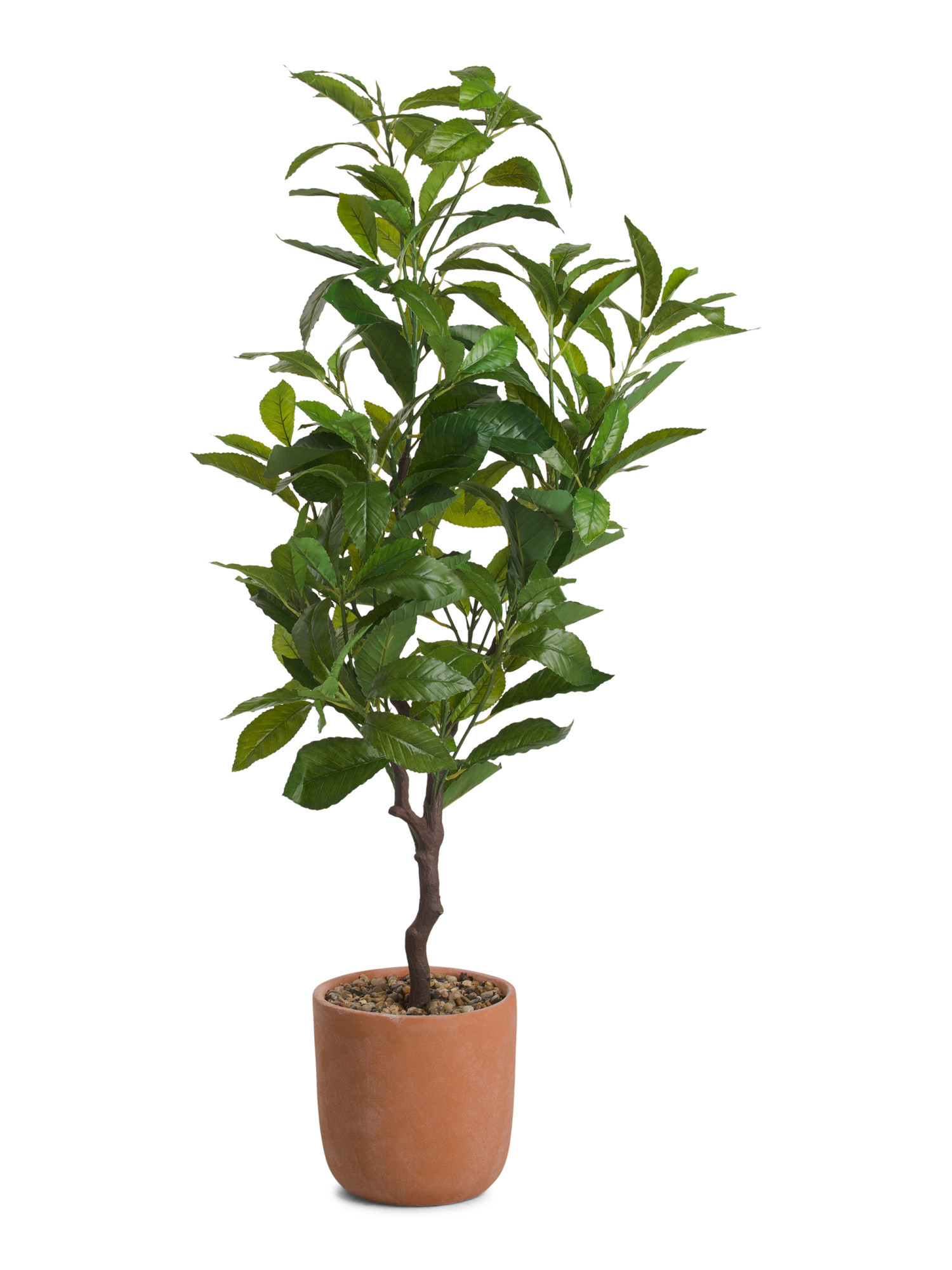 53in Tree In Terracotta Pot | TJ Maxx