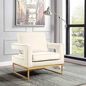 Meridian Furniture Noah Collection Modern | Contemporary Velvet Upholstered Accent Chair with Dur... | Amazon (US)