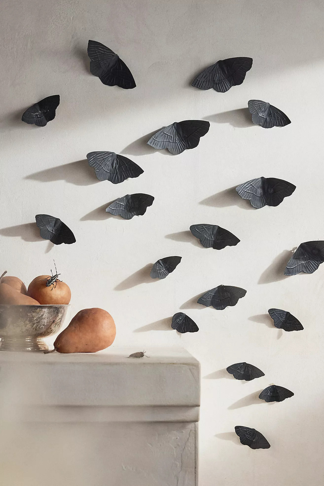 Iron Moth Eclipse, Set of 18 | Anthropologie (US)