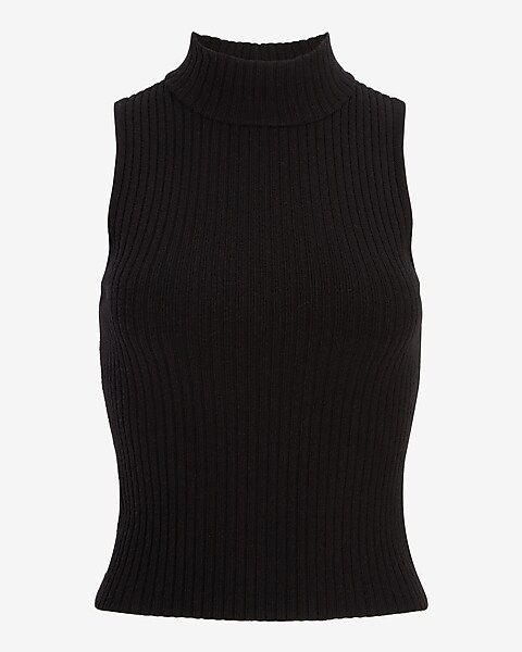 Ribbed Mock Neck Sweater Tank | Express