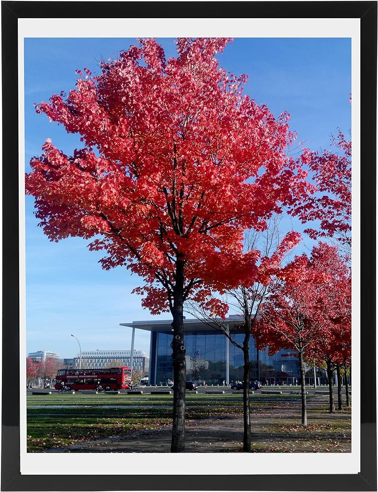 11x17 9x15 Picture Frame Black Poster Frame Set of 1 Display Photos 11x17 Without Mat or 9x15 Wit... | Amazon (US)