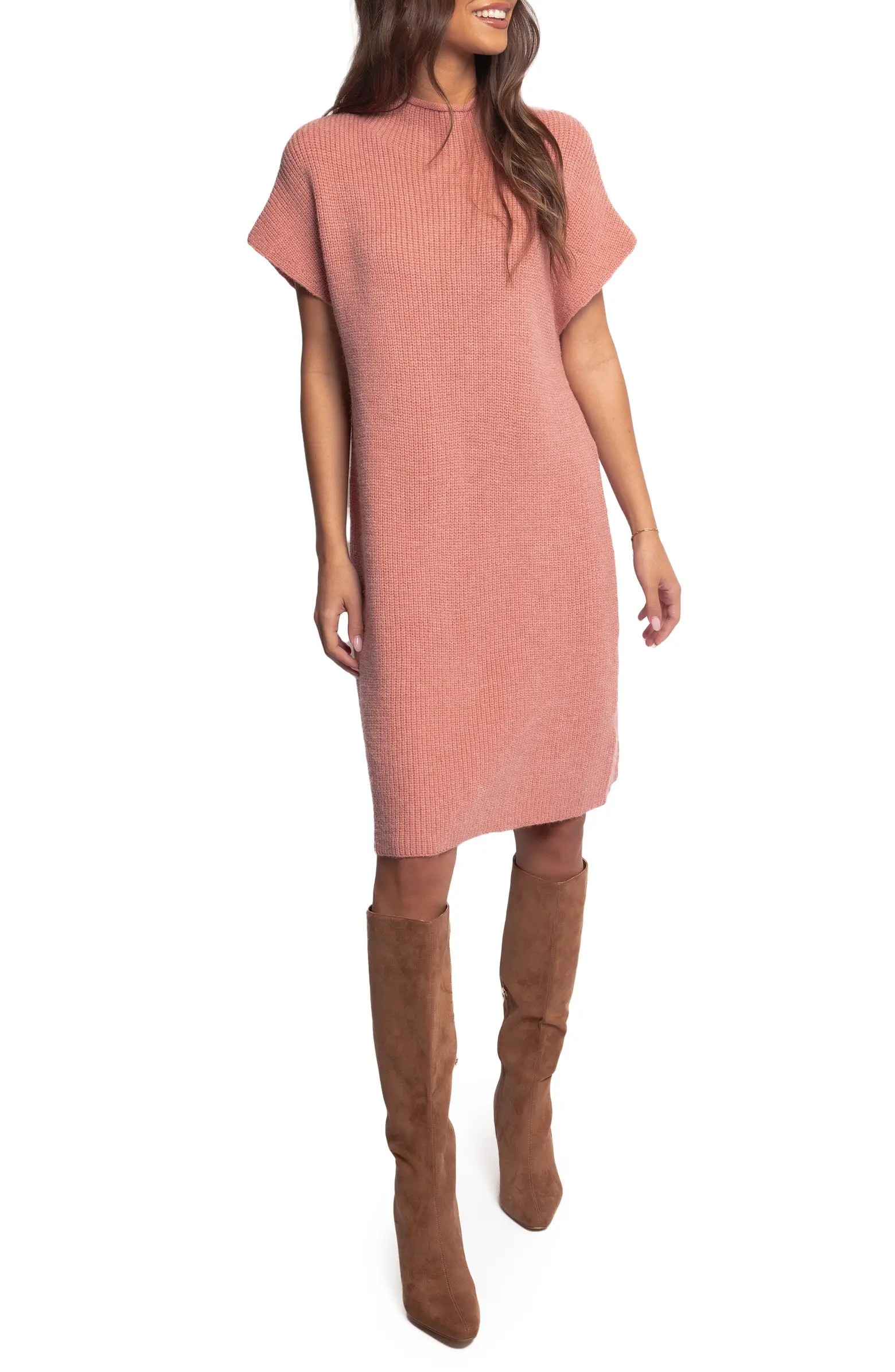 Petal & Pup Wright Mock Neck Sweater Dress | Nordstrom | Nordstrom