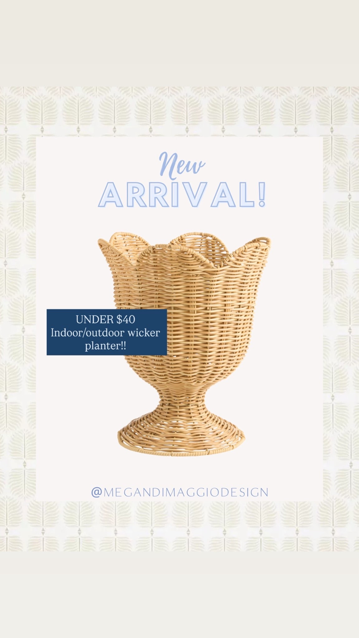 How adorable is this new indoor/outdoor scalloped wicker planter?! Under $40 🤯 and will go fast!!

#LTKHome #LTKSaleAlert #LTKFindsUnder50