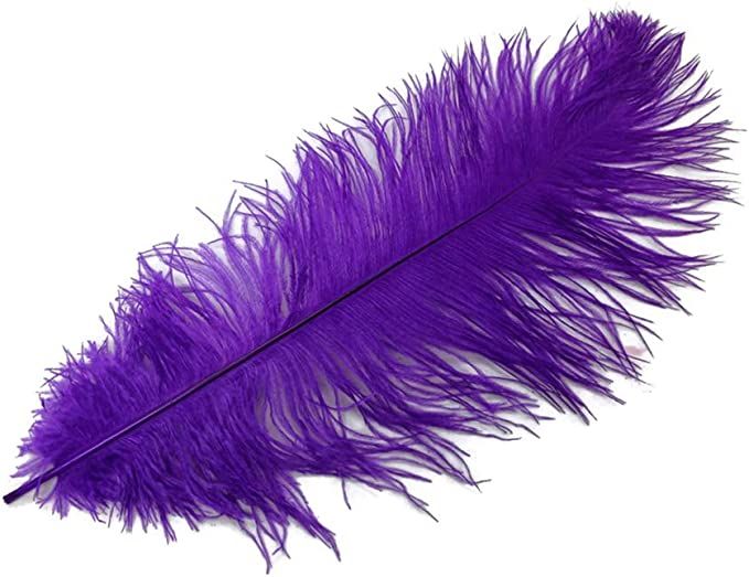 10 Pieces - 19-24" Purple Ostrich Dyed Drabs Body Feathers Wedding Party Carnival Gatsby Centerpi... | Amazon (US)