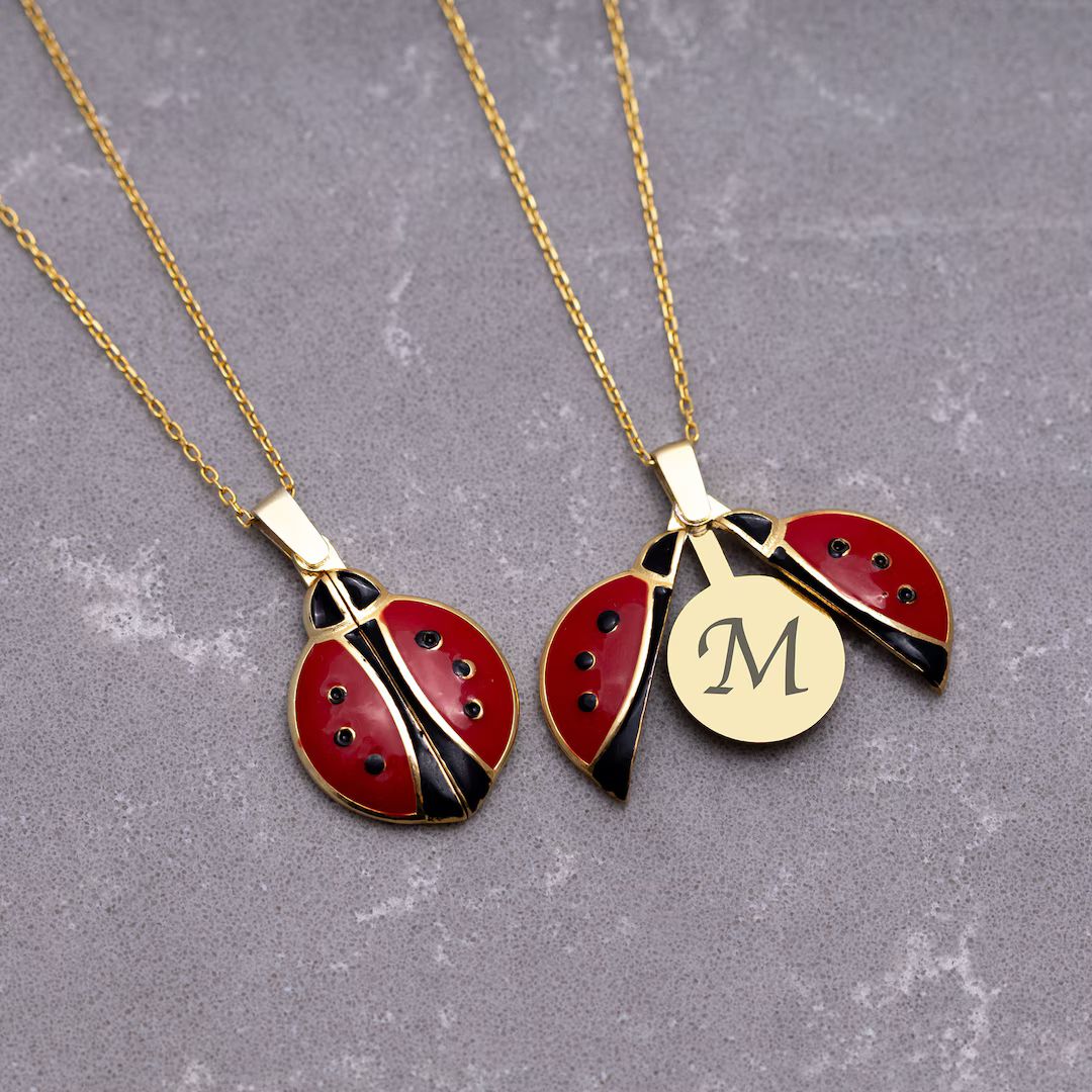 14K Gold Ladybug Necklace, Custom Opening Wings Ladybird Pendant, Cute Luck Charm Jewelry, Specia... | Etsy (US)