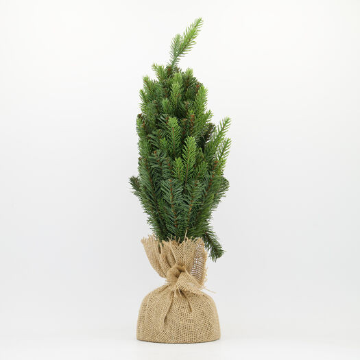 Christmas Tree Decoration | TK Maxx