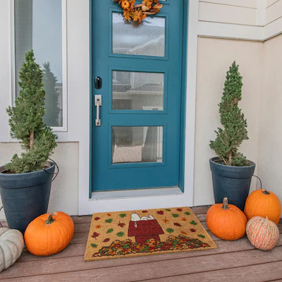 Peanuts 18-in x 30-in Multicolor Coir Non-Slip Grip Indoor or outdoor Door Mat | Lowe's