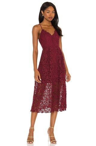 Lace A Line Midi Dress
                    
                    ASTR the Label | Revolve Clothing (Global)