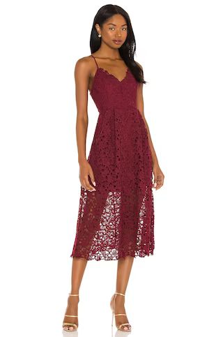ASTR the Label Lace A Line Midi Dress in Wine from Revolve.com | Revolve Clothing (Global)