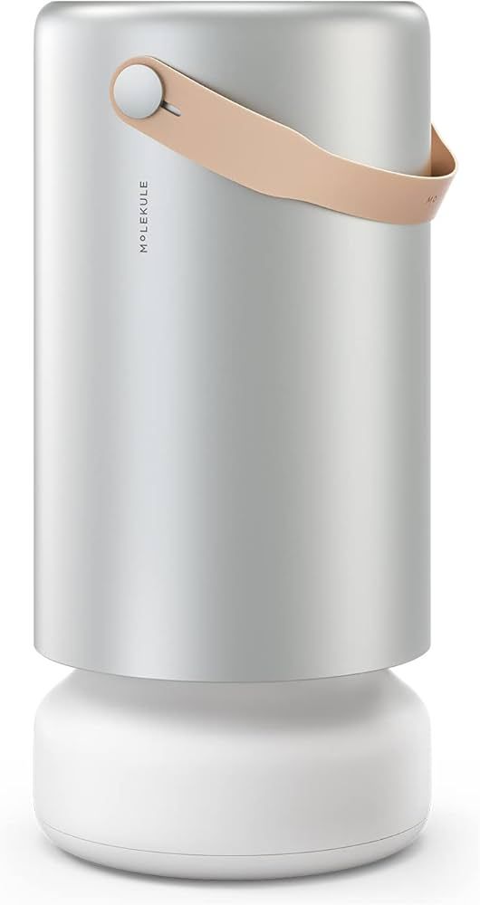 Molekule Air Pro Air Purifier for Large Rooms up to 1000sq. ft. with PECO Technology, Compatible ... | Amazon (US)