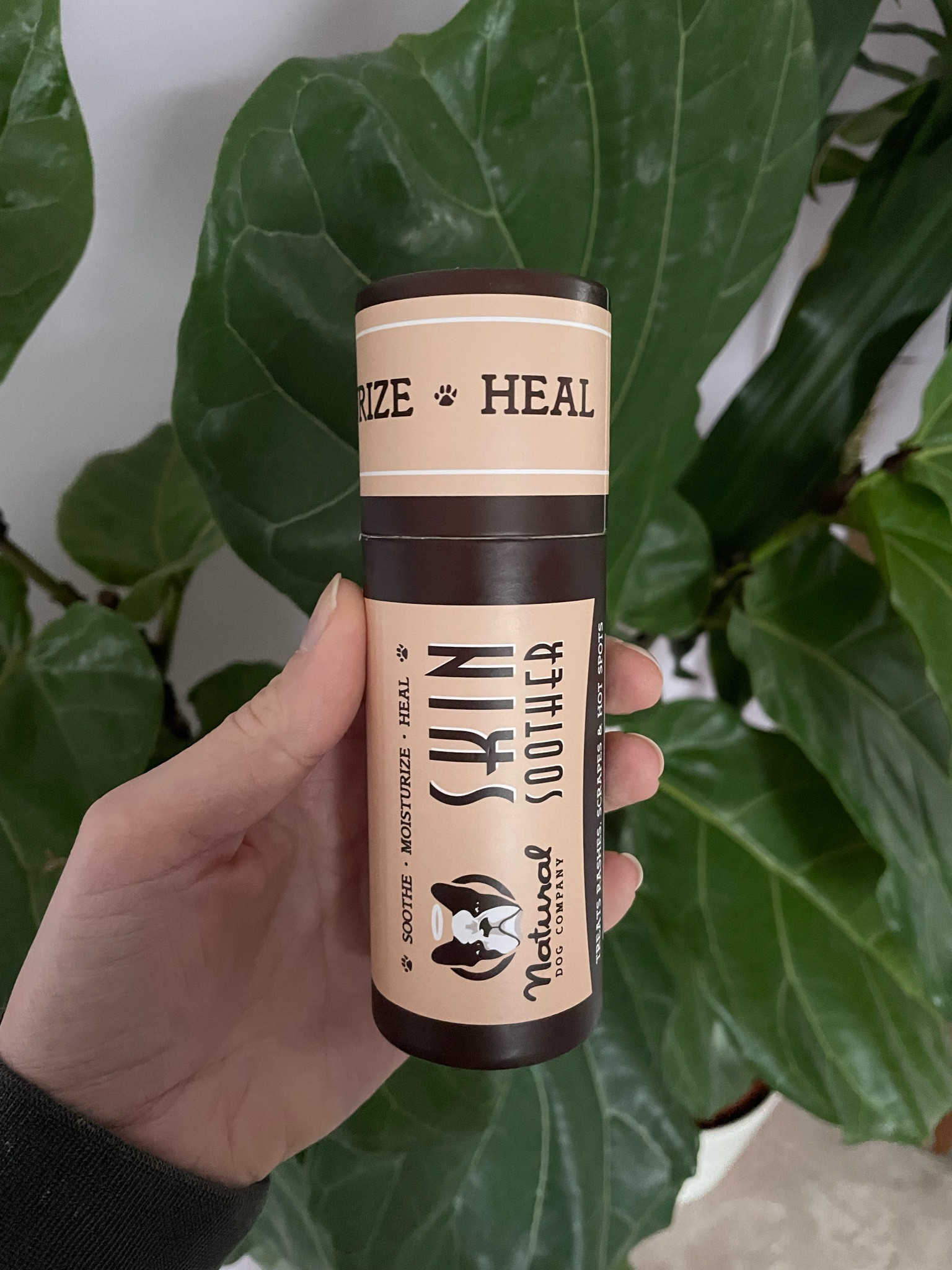 One of my favorite products for dogs! 

#LTKunder100 #LTKunder50 #LTKfamily