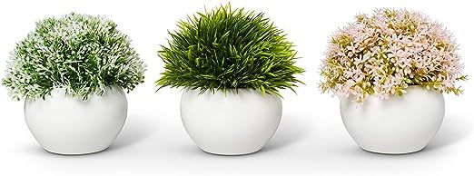 Farmhouse Plants with Pot - Artificial Plants For Decoration - Office/Kitchen/Bathroom/Bedroom/Ma... | Amazon (US)