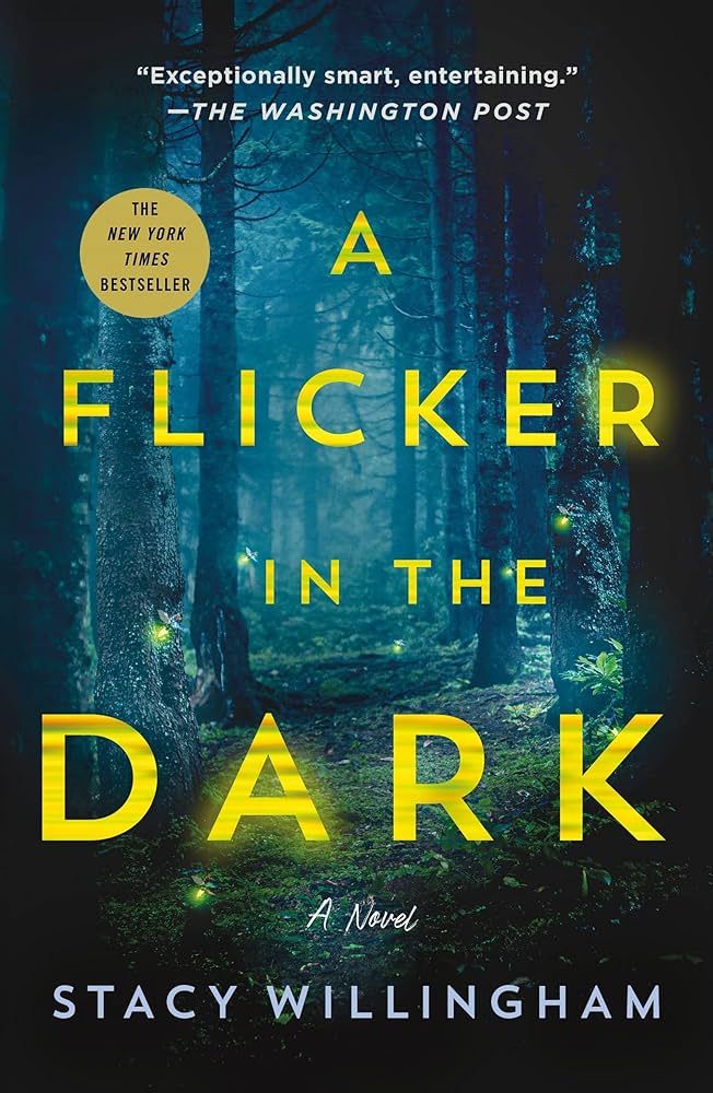 Flicker in the Dark | Amazon (US)
