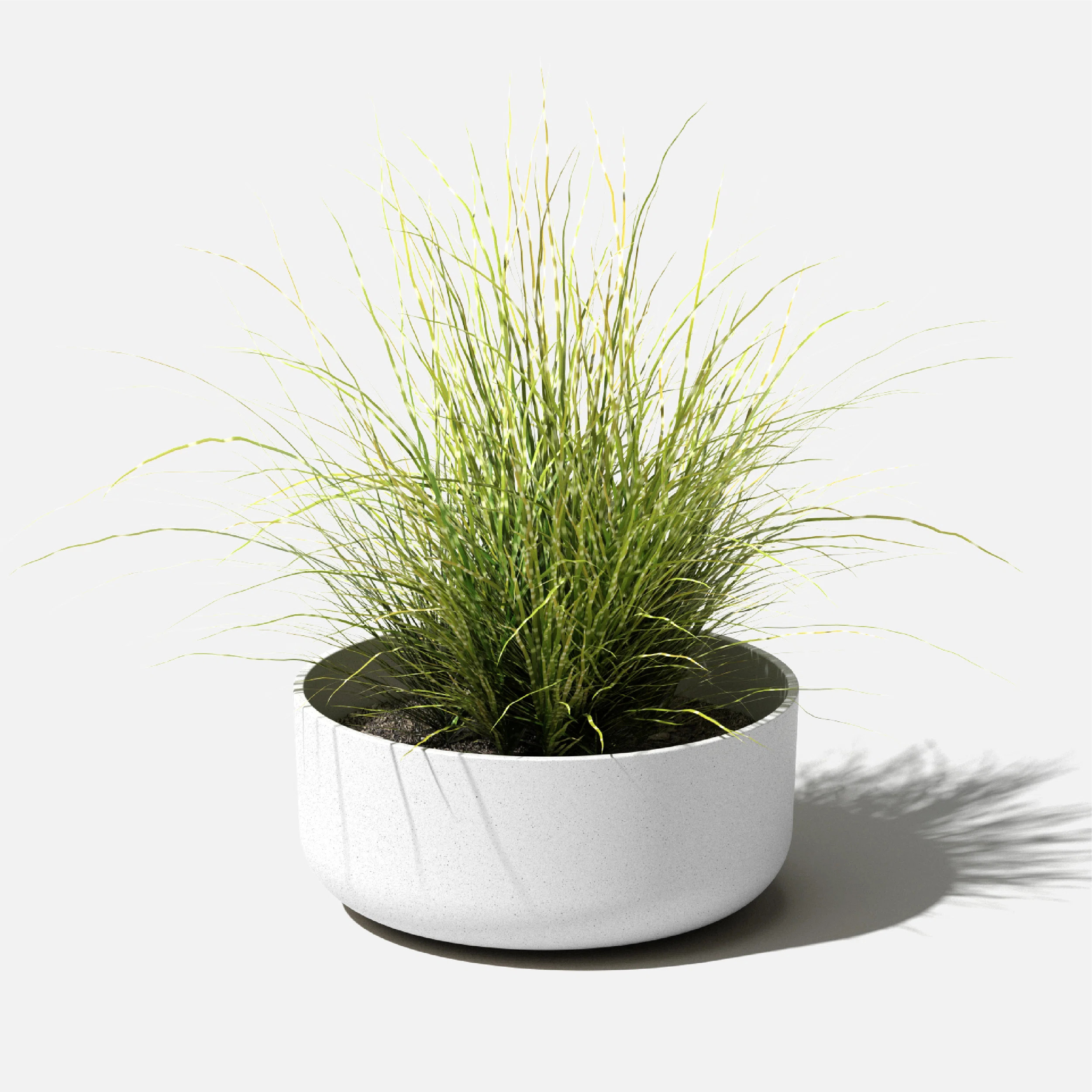 Mason Series Kona Bowl Planter | Wayfair North America