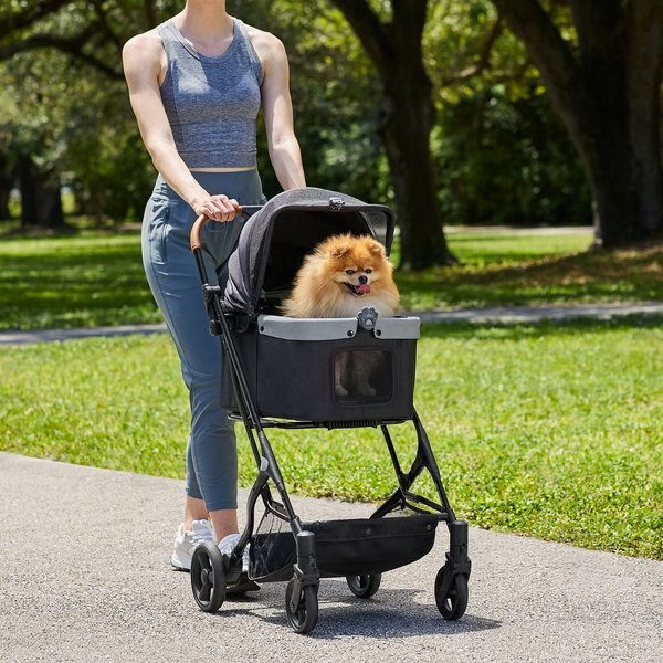 Frisco Modern No-Zip, Collapsible Cat & Dog Stroller, Black | Chewy.com