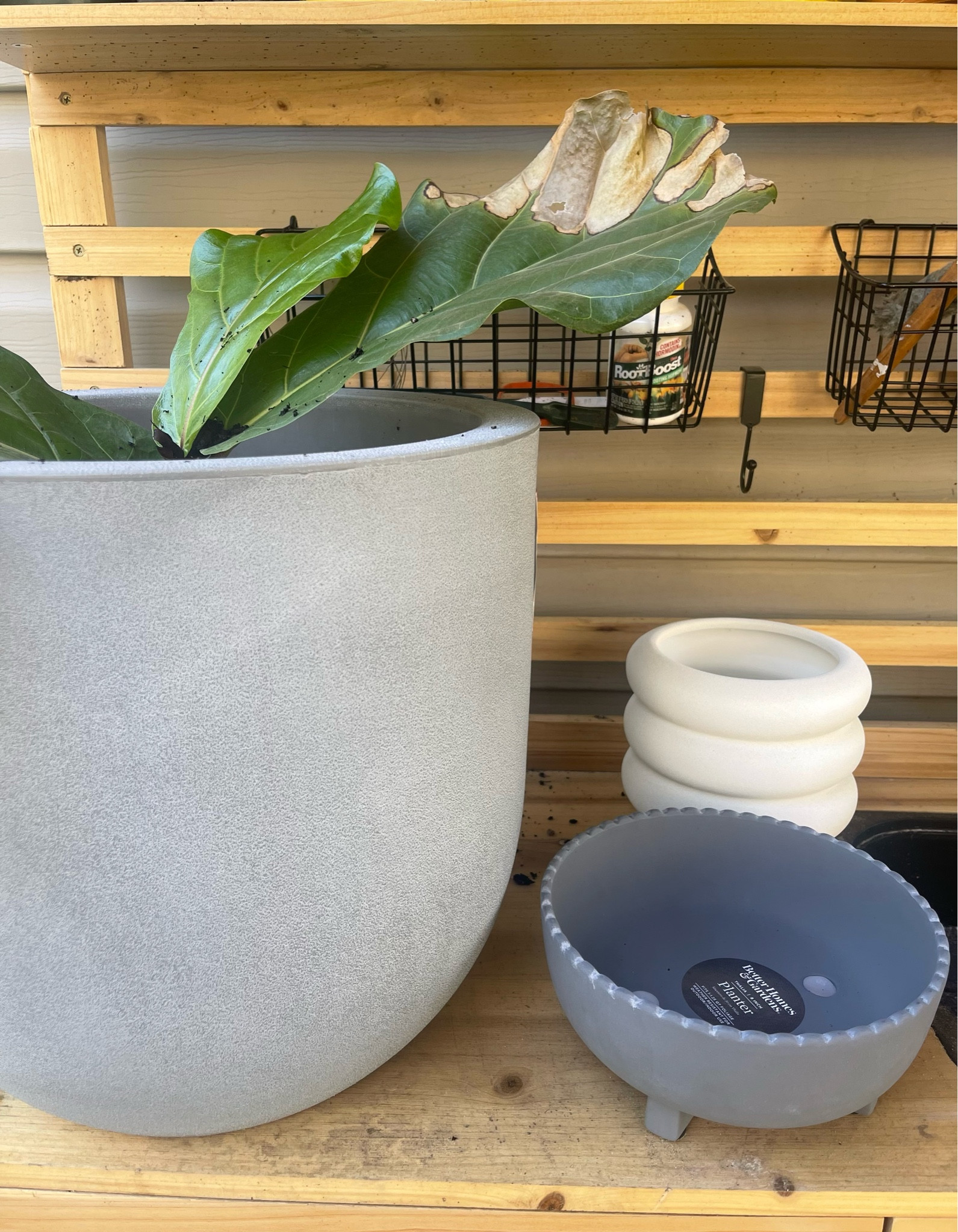 Walmart Spring Planters 

#LTKhome #LTKunder100 #LTKSeasonal