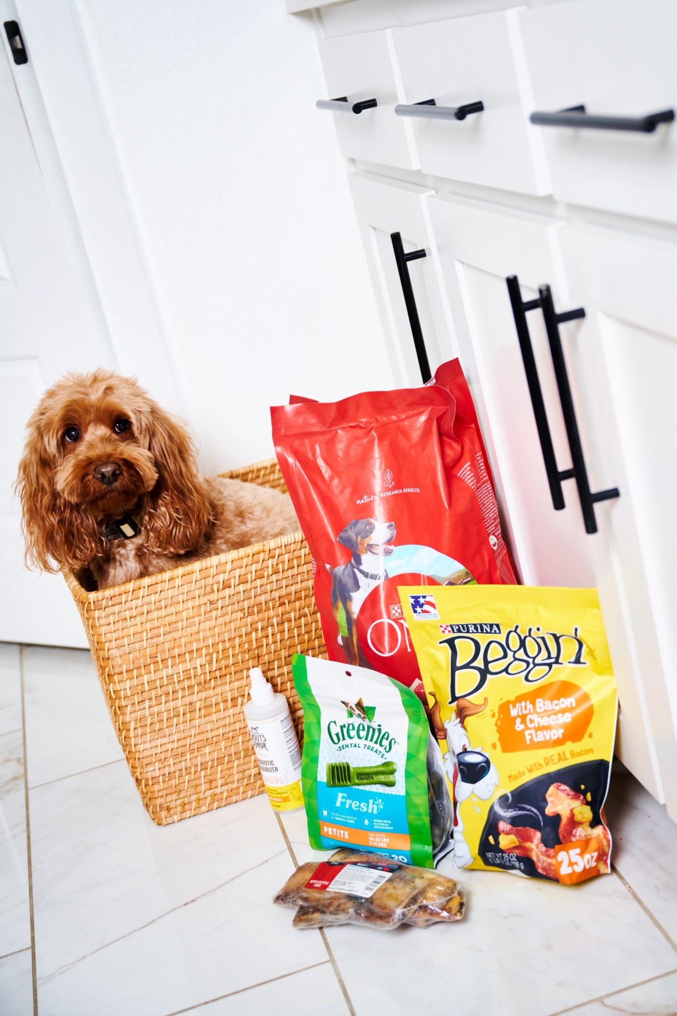 No matter what stage of life your pet is in Petco has exactly what you need and more! Even grooming, vet and training services! 
@Petco #PetcoPartner #ad


#LTKmomlife