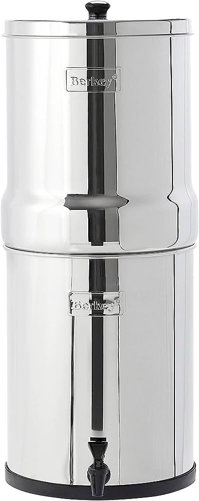 Royal Berkey Gravity-Fed Stainless Steel Countertop Water Filter System 3.25 Gallon with 2 Authen... | Amazon (US)