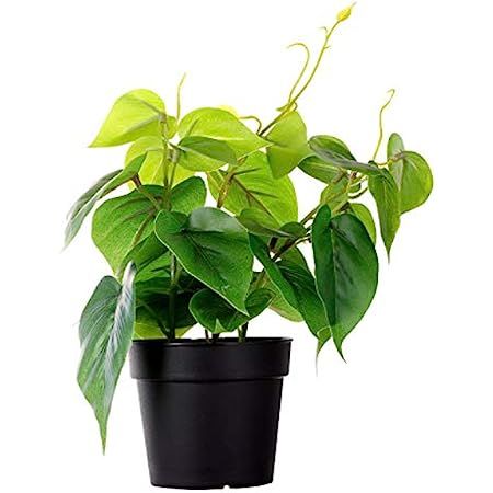 LuckyGreenery Artificial Scindapsus Aureus, Realistic Fake Plant with Plastic Pot for Home Office Ga | Amazon (US)