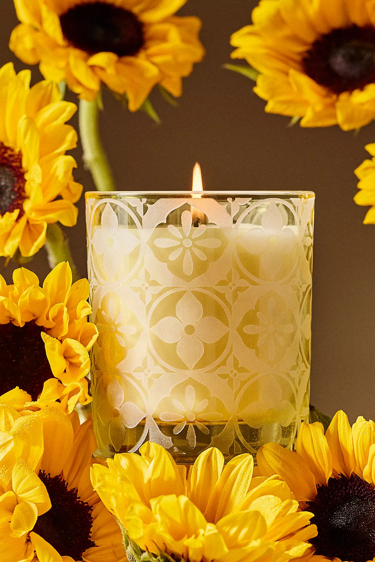 Hotel Bon Séjour Fresh Sunflower & Bergamot Boxed Glass Candle | Anthropologie (US)