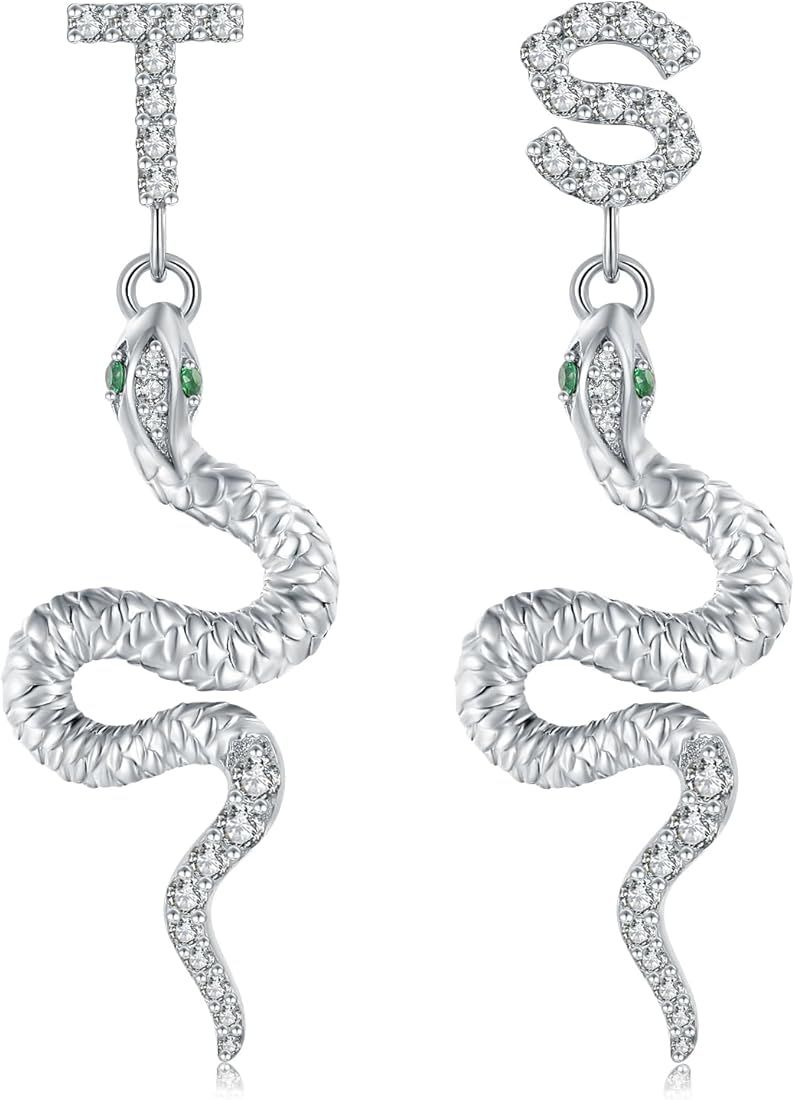 Snake Dangle Earrings for Women，T&S Reputation Snake Earrings, T&S Earrings Silver Outfit For E... | Amazon (US)