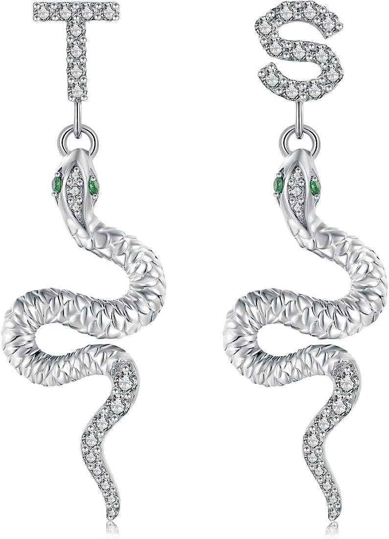 Snake Dangle Earrings for Women，T&S Reputation Snake Earrings, T&S Earrings Silver Outfit For E... | Amazon (US)