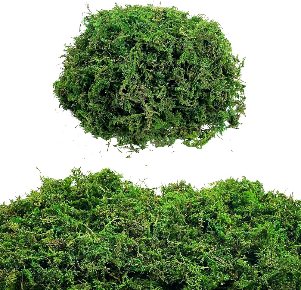 Green Moss for Crafts Artificial Moss Decorative Moss for Potted Plant Faux Orchid Moss Potting M... | Amazon (US)