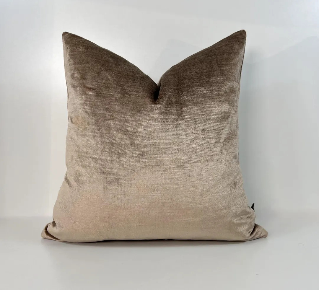 Luxury Taupe Velvet Pillow Cover,beige Pillow,taupe Cushion Cover,velvet Pillows,beige Throw Pill... | Etsy (US)
