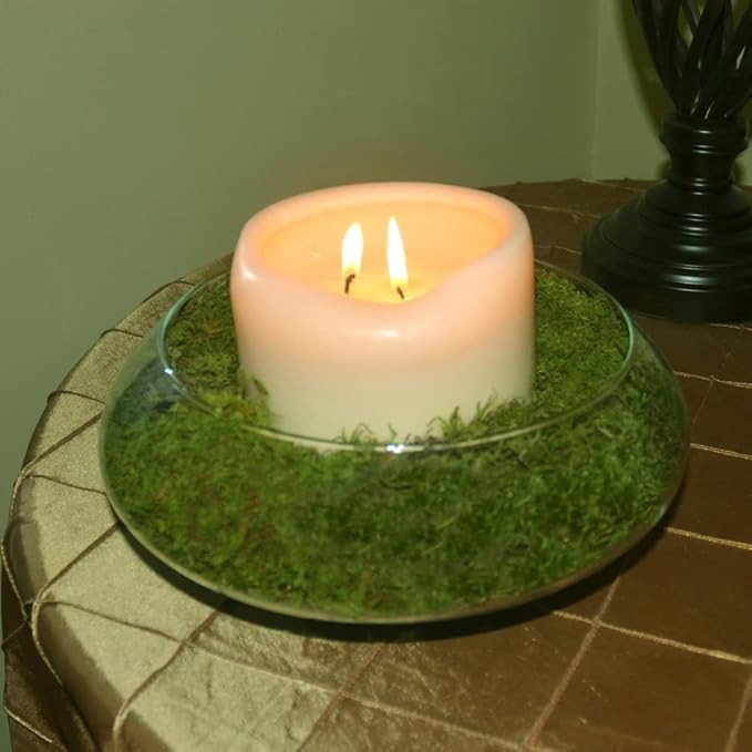 Mosser Lee ML0460 Natural Green Sheet Moss, 325 sq. in. | Amazon (US)