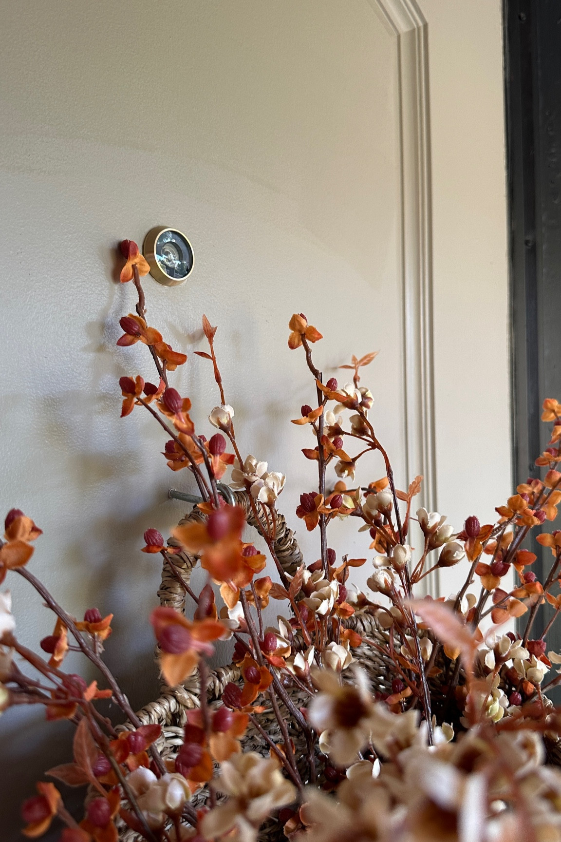 brass door viewer 👀🔎🍁



#LTKHome