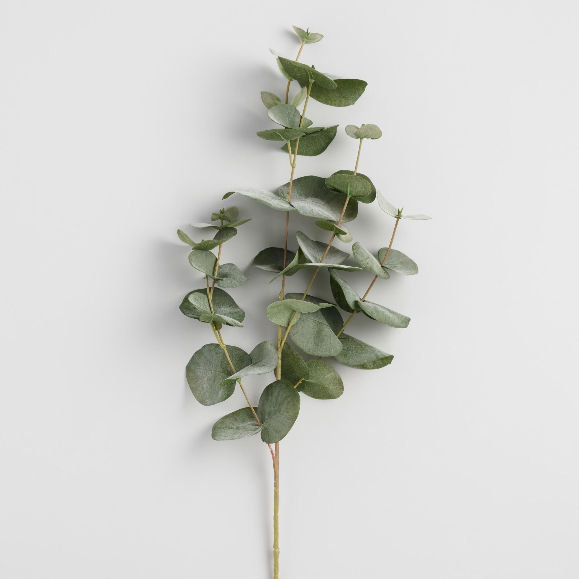 Faux Eucalyptus Spray by World Market | World Market