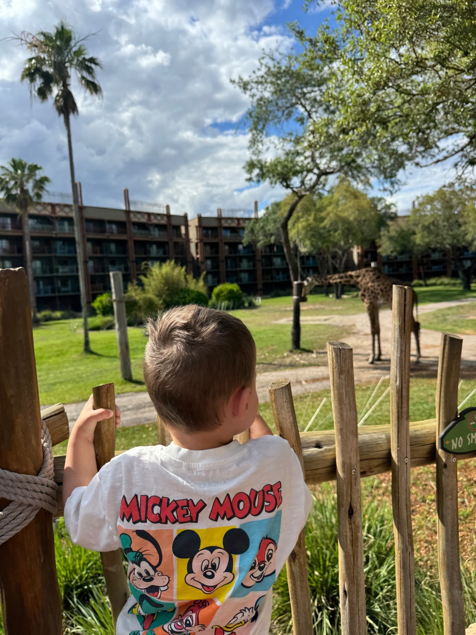 Love this Mickey Mouse tee! This brand runs big FYI

#LTKKids #LTKBaby