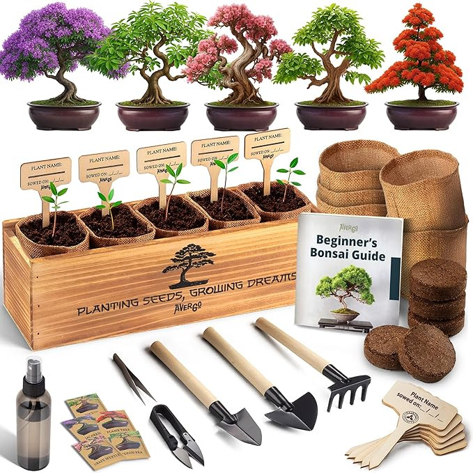 AVERGO Bonsai Tree Kit for Beginners – 5X Unique Japanese Bonzai Trees | Complete Indoor Bonsai... | Amazon (US)