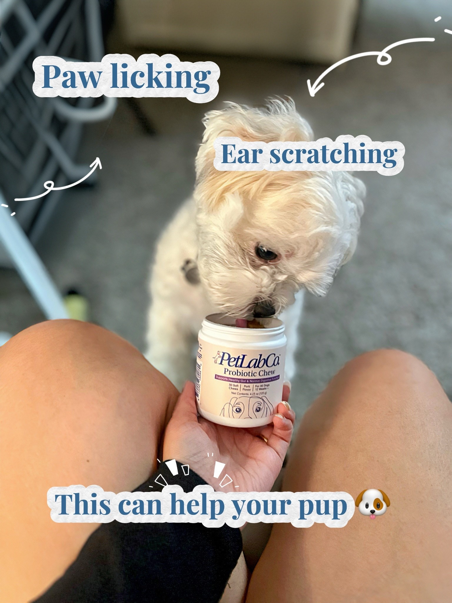 This options have worked for me but my favorite it’s FINN

#LTKFindsUnder50 #LTKHome #LTKSaleAlert