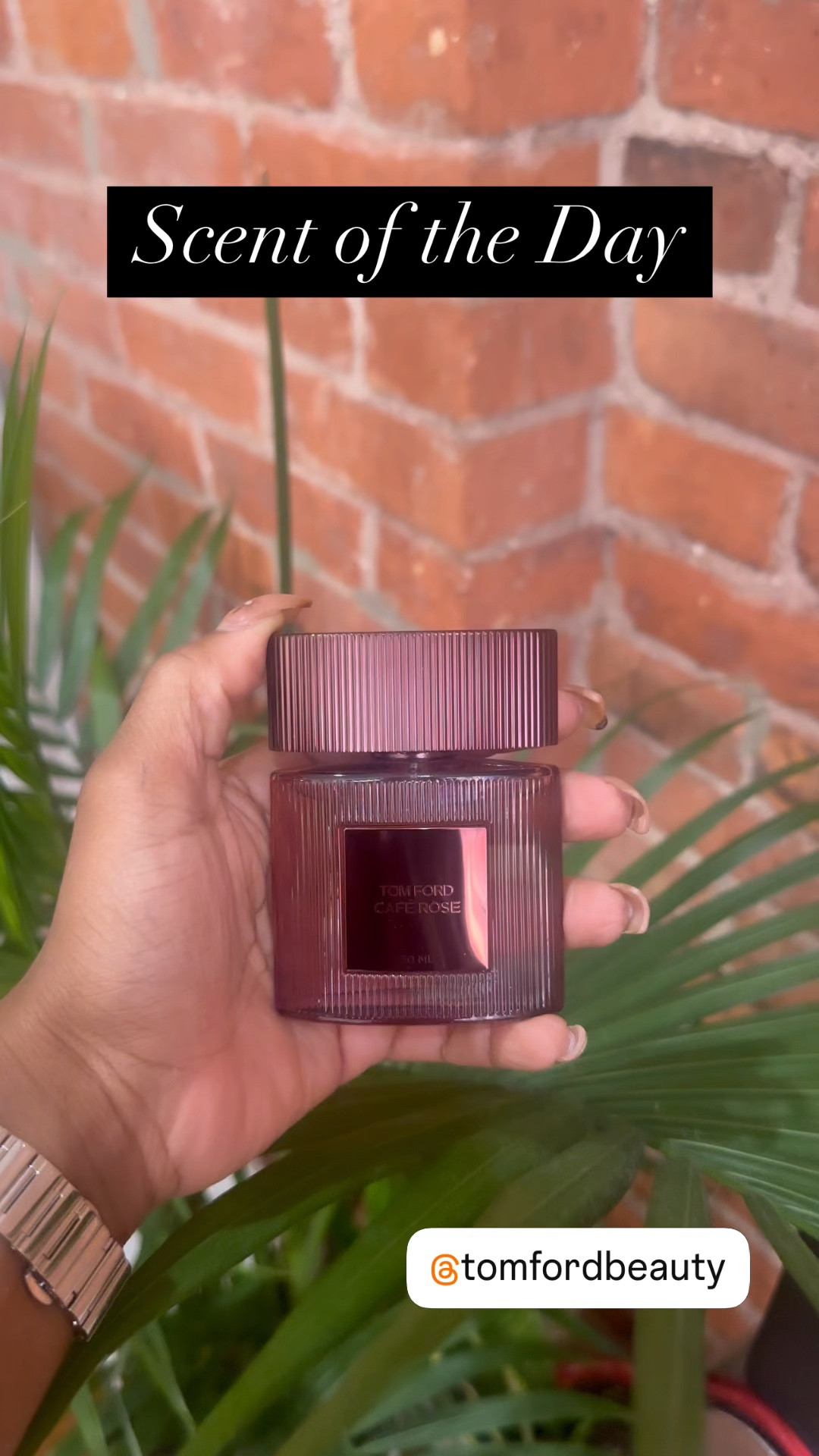 New scent alert! Decided to add this as a everyday/signature scent for the cooler months. I wanted a sophisticated warm floral and this is perfect! 

#LTKVideo #LTKGiftGuide #LTKBeauty